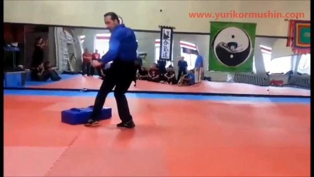 Применение лоу-кика в ExtremeFight Юрия Кормушина смотреть онлайн