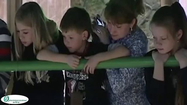 Крокодиловая ферма. Бизнес идея смотреть онлайн