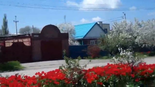 Сальск .кусок низовки весной 2021 смотреть онлайн