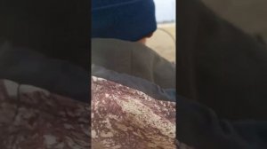 yamaha viking 540 lll по воде, по траве, через речку