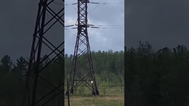 Электрик Михаил Михайлович😀 смотреть онлайн