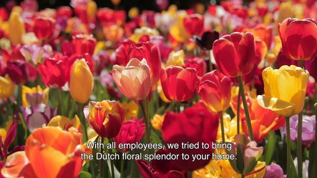 Thank you! We hope to see you in 2021 - Keukenhof Virtually Open смотреть онлайн