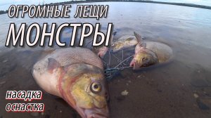 ОНИ ПРОСТО ОГРОМНЫЕ!! На что ловить крупного леща в сентябре? Рыбалка на леща осенью