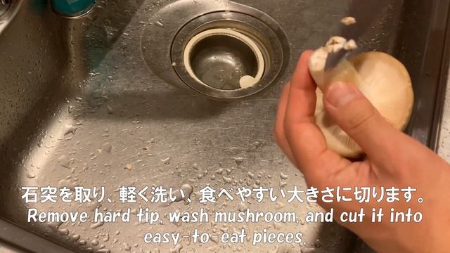 Green-cracking Russula Curry