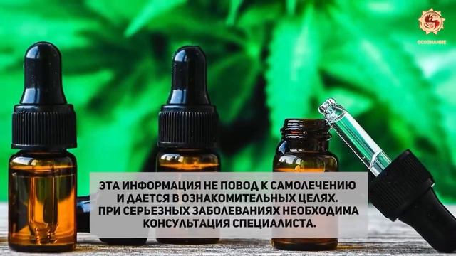 Результаты применения масла CBD! #livegood смотреть онлайн