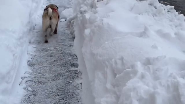 НА ПАЛЬЦЕ ОГРОМНЫЙ ВОЛДЫРЬ! ЧТО ДЕЛАТЬ… смотреть онлайн