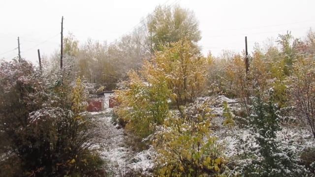 Первый снег смотреть онлайн