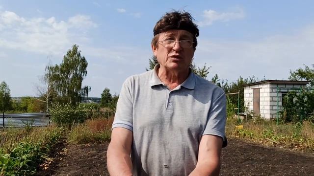 Удобряем землю сидератами. смотреть онлайн