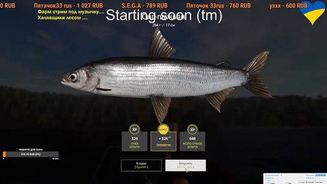 Русская рыбалка 4 - Форумный турнир... Суточный.... Марафоним....На ночь глядя.... Общение.... смотреть онлайн