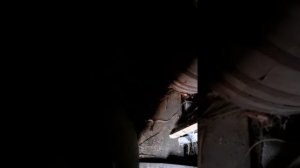 ЧТО ДЕЛАТЬ ЕСЛИ петух отморозил гребень/блинчики с вишневым вареньем.