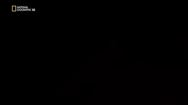 день когда земля остановилась National Geographic  Hd