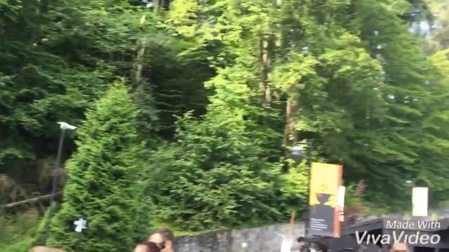 В гостях графа Дракулы??♂️?⚔️?? смотреть онлайн