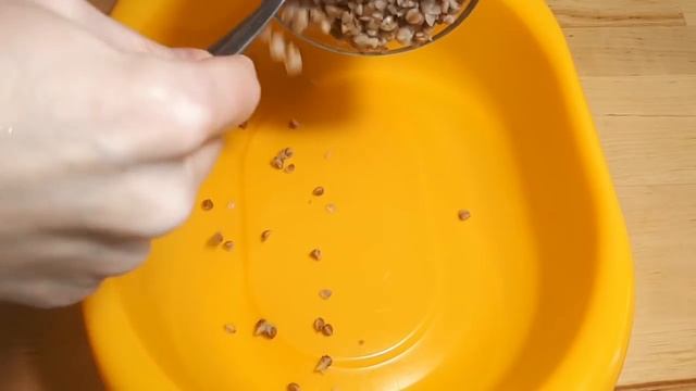 Секреты Здорового Питания и Диетологии