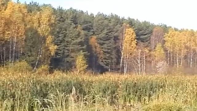 Мамины слова - нежная и трогательная песня про маму смотреть онлайн