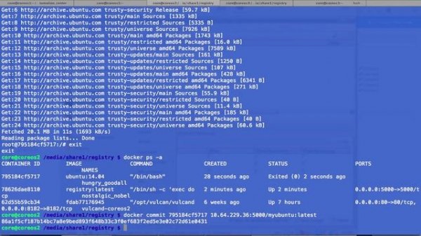 ViPR 2.1 & Docker Registry