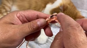 Узоры спицами. Узор «Геометрия». Knitting patterns. Geometry pattern.