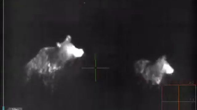 IWT mutant смотреть онлайн