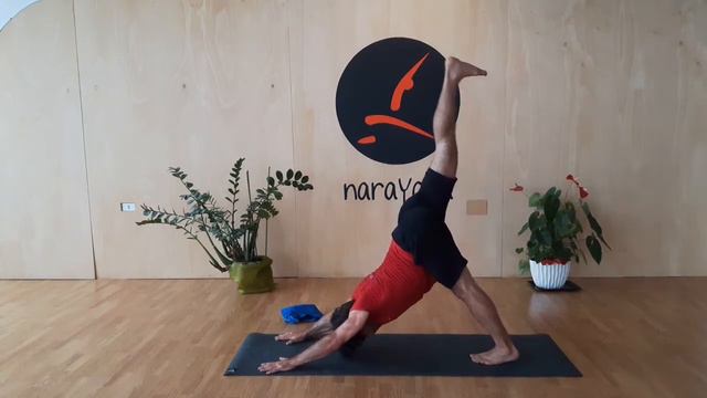 VINYASA verso TITTIBASANA 2 смотреть онлайн