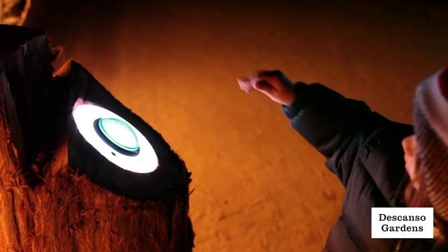 Enchanted: Forest of Light returns in November смотреть онлайн