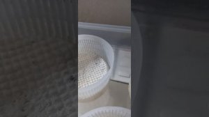 Как сделать сыр горгонзола в домашних условиях!