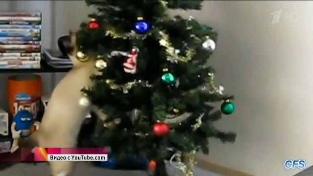 Коты против елок смотреть онлайн