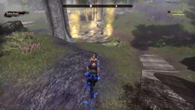 The elder scrolls online Прохождение часть 95 Ауридон Неустрашимые Маллари-Мора смотреть онлайн