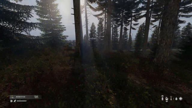 When DEATH is just the Beginning - DayZ Adventure смотреть онлайн