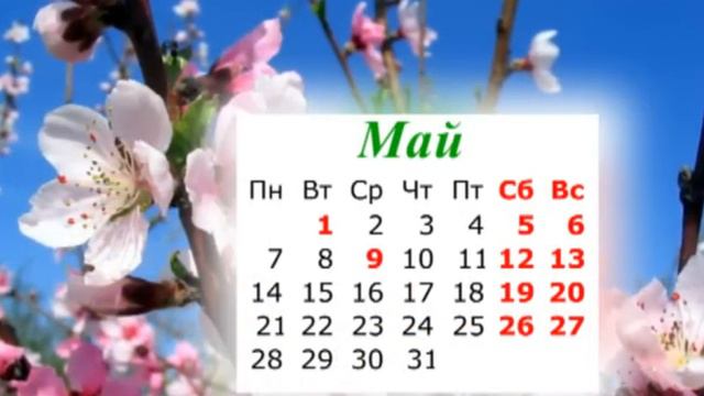 Каникулы закончились смотреть онлайн