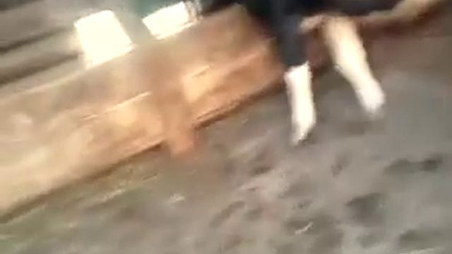 Жизнь НАШЕГО ДВОРА / БРОЙЛЕРЫ И МАРТА во Дворе / ИНТЕРЕС ТВ смотреть онлайн