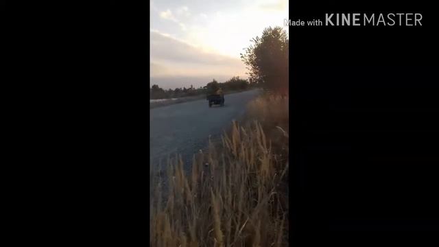 Муравей рулит смотреть онлайн