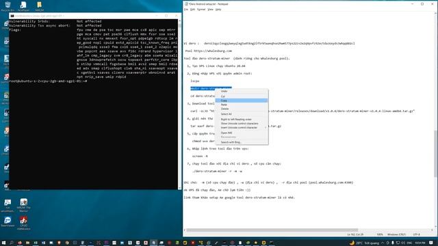 Guide VPS linux mining DERO Coin l Whalesburg Pool l VPS Mining Dero coin смотреть онлайн
