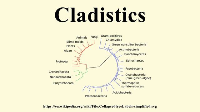 Cladistics смотреть онлайн