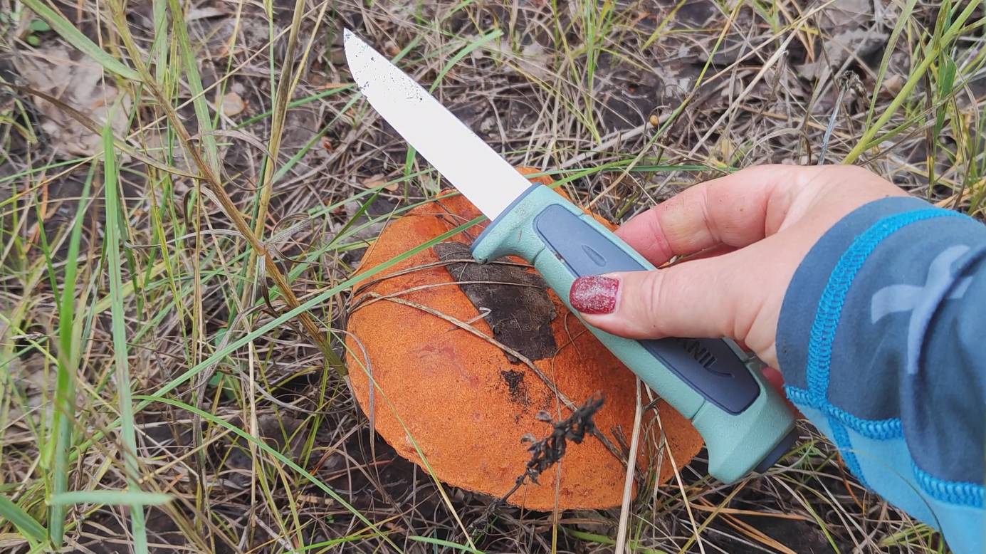 За грибами смотреть онлайн