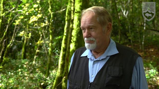 О кавказских медведях рассказал профессор Кудактин смотреть онлайн