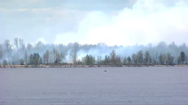 Лесной пожар локализован смотреть онлайн