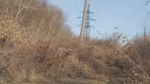 Коп день 5 - добываем железо смотреть онлайн