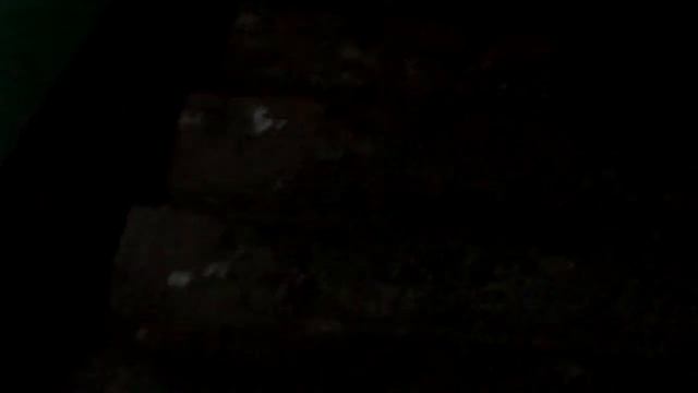 Погоня за крысой в подъезде (Рязань, сентябрь 2017) смотреть онлайн