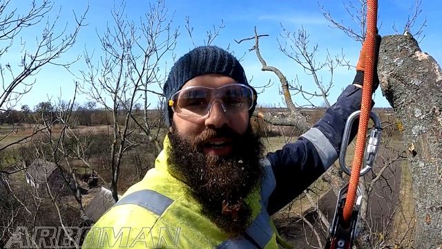 Ріжемо великий ясен Cutting big ash tree смотреть онлайн