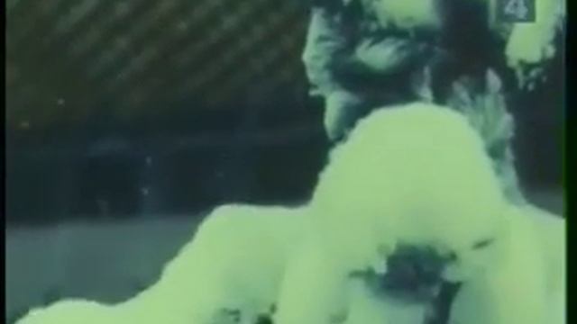 Алма-Ата 70-х годов смотреть онлайн