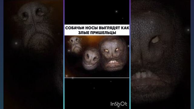 ...те, кто всегда рядом... смотреть онлайн