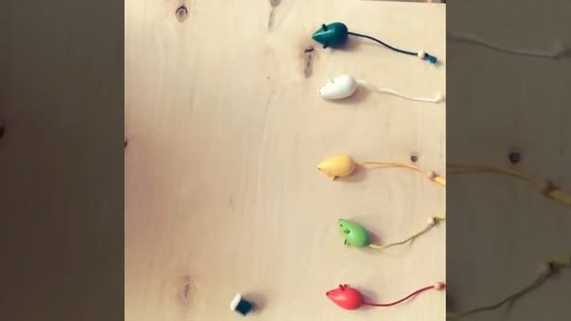 Настольная игра Кошки-мышки Вальда смотреть онлайн