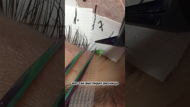 Как работать с ресницами, которые расслаиваются в корнях. #наращиваниересниц #ресницы #lashes смотреть онлайн