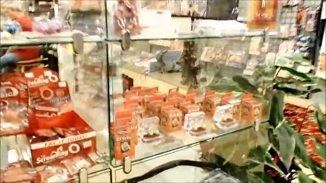 США. Магазин для взрослых. Adults Only, Moody St., Waltham, MA, USA