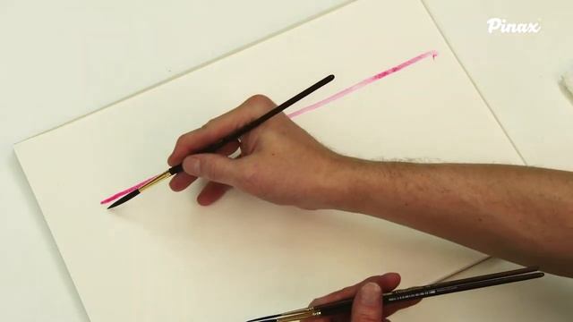 Pinax POSEIDON 822 Белка Микс смотреть онлайн