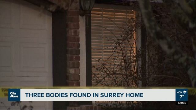 Three found dead in Surrey home смотреть онлайн