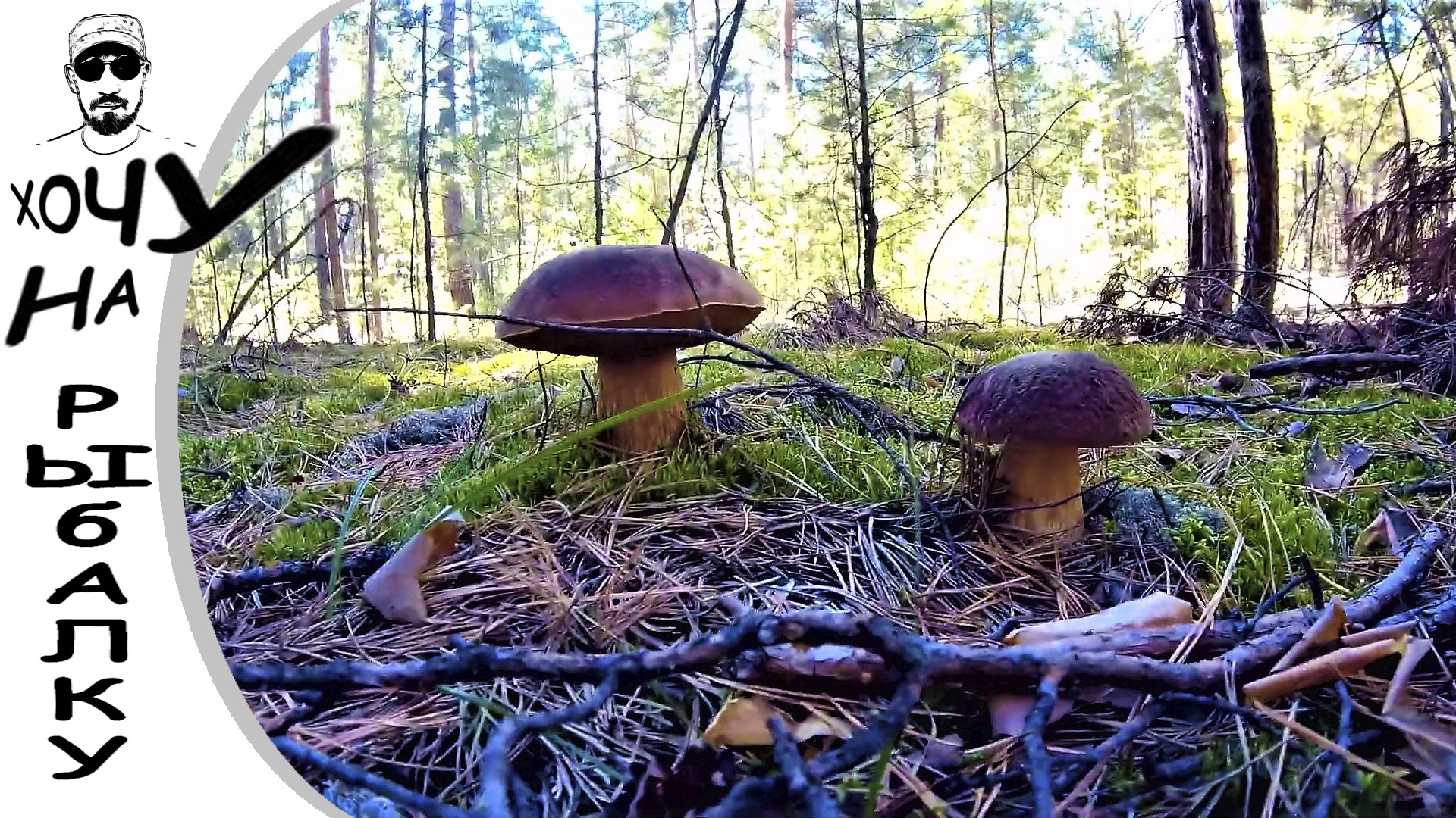 ПОСЛЕДНИЕ ДВА ДНЯ ЛЕТА. рыбалка и лес, грибы и щука смотреть онлайн