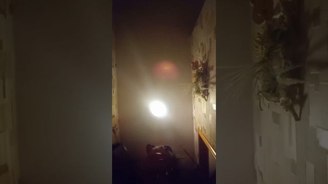 Как сделать красивые кудряшки (пробежала кошка). смотреть онлайн