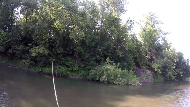 Резвые голавли на микроречке смотреть онлайн