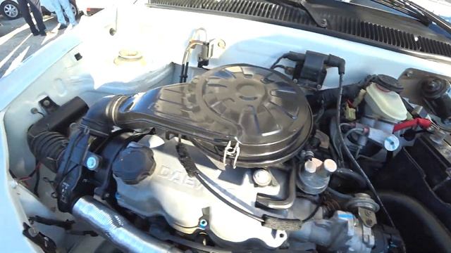 ARZON TIKO NARXLARI / XORAZM MOSHIN BOZORI смотреть онлайн