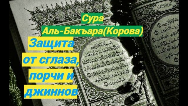 Сура Аль Бакара(Корова)Защита от порчи/сглаза и джиннов #ПризывМусульман смотреть онлайн